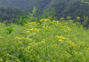 基地建设